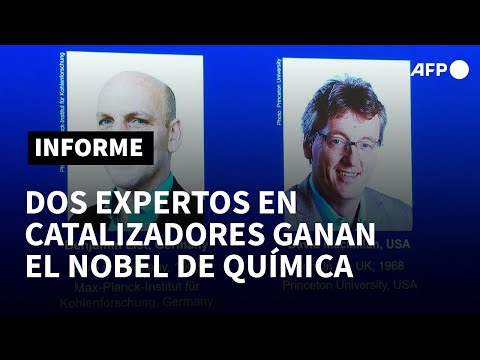 Un alemán y un estadounidense, expertos en catalizadores, ganan el Nobel de Química | AFP