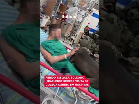 SOLDADO ISRAELENSE RECEBE VISITA DE COLEGA CANINO APÓS SER HOSPITALIZADO