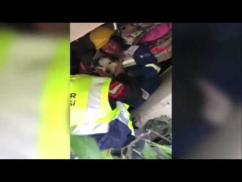 Rescatan a un perro en Turquía tres semanas después del terremoto