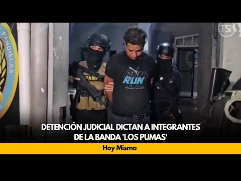 Detención judicial dictan a integrantes de la banda 'Los Pumas'