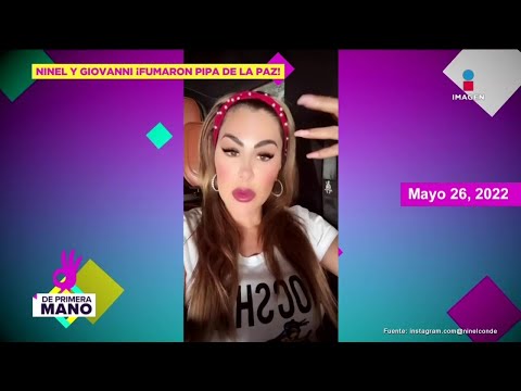 Ninel Conde y Giovanni Medina llegan a un acuerdo por el bien de su hijo | De Primera Mano