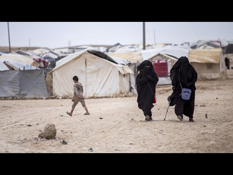 Femmes et enfants détenus en Syrie : selon l'ONU, la France viole la Convention contre la torture