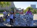 What is Muslims for Progressive Values?