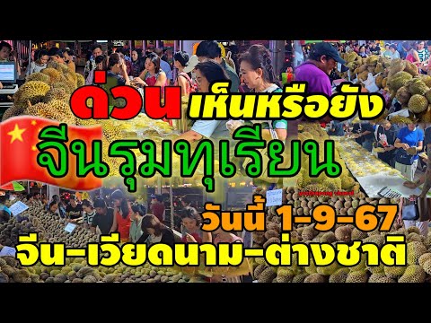 จีนไม่ใหว!จีนรุมทุเรียนไทยแบบน