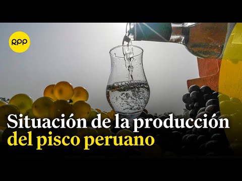 ¿Cuál es la situación de la producción del pisco peruano?