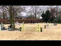 Show jumping horse Knappe 8-jarige springmerrie