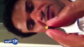 فيديو: دودة عجيبة تضئ نوراً سبحان الله الخالق العظيم