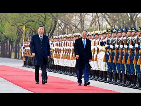 Xi Jinping: cada vez que veo a mis amigos de las islas del Pacífico, tengo una sensación de cercanía