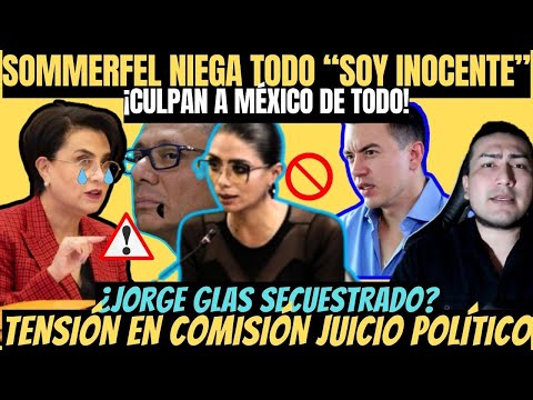 URGENTE Canciller Sommerfeld vs. Caso Glas - Embajada de México | DISCUSIÓN | Horas Cruciales