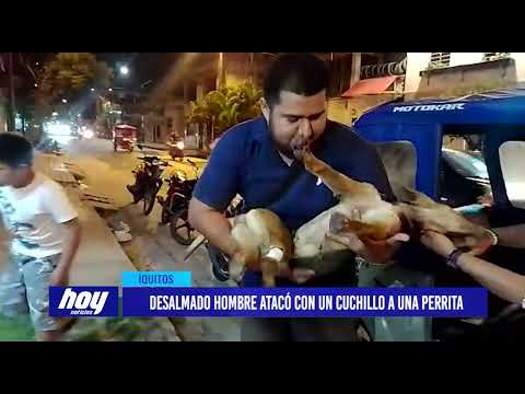 Iquitos: Desalmado hombre atacó con un cuchillo a una perrita