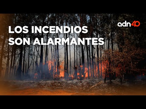 Los incendios son alarmantes, dicen los li?deres indi?genas en Berli?n