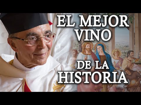 EL MEJOR VINO DE LA HISTORIA - Cumplimiento de una PROFECÍA  | Mons. João Clá