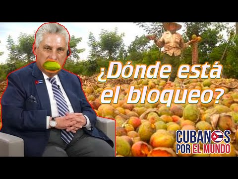 ¡LOGROS DE LA REVOLUCIÓN! Retrasos en transporte generan pérdidas de 3mil CUP por mangos en Cuba