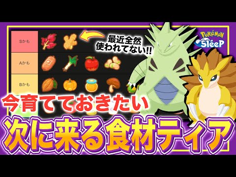 次に必要になる食材はコレ！新サラダ来るし、新カレーや次の料理環境を考察！【ポケモンスリープ】