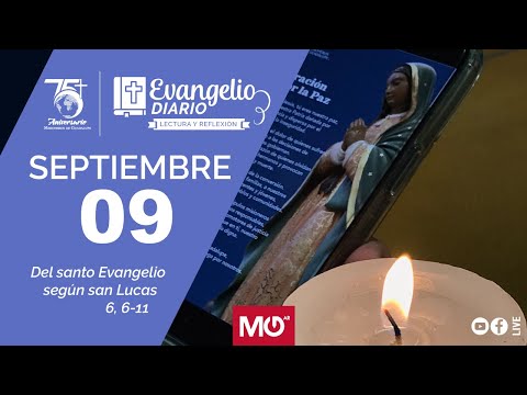 Lectura y reflexión | 9 de septiembre 2024 | Del santo Evangelio según san Lucas: 6, 6-11