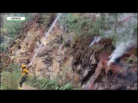 270 incendios forestales en Antioquia en 2024 - Teleantioquia Noticias