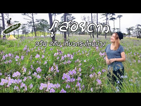 ภูสอยดาวอุตรดิตถ์|กางเต็นท์