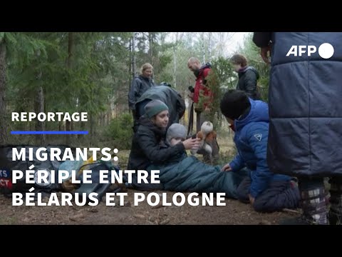 Entre le Bélarus et la Pologne, des migrants piégés dans la forêt | AFP