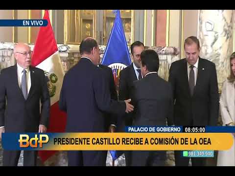 Pedro Castillo se reunió con comisión de Alto Nivel de la OEA en Palacio de Gobierno