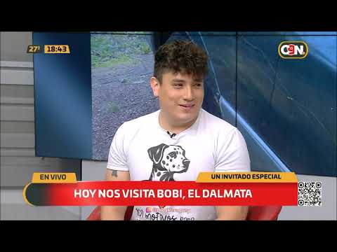 Nos visita Bobi, el dálmata influencer