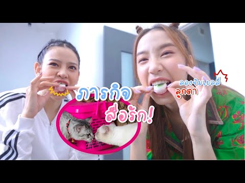 ผมอยากมีแฟนครับ..เมี๊ยวว...-|- ผมอยากมีแฟนครับ..เมี๊ยวว...-|-
