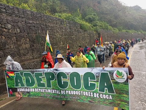Marcha de Cocaleros avanza rumbo a La Paz