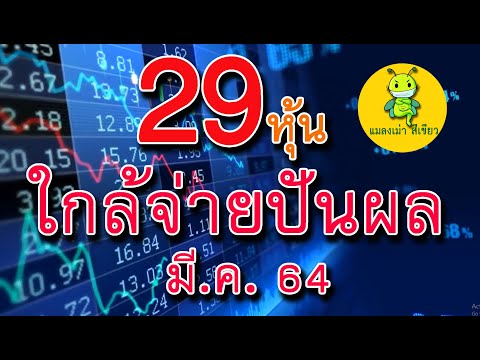 250264รวยด้วยหุ้นปันผล:29