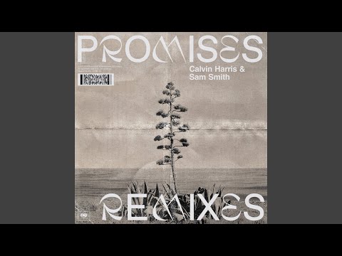 Promises (David Guetta Remix)