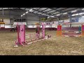 Show jumping horse Nogano van de Eenhoorn