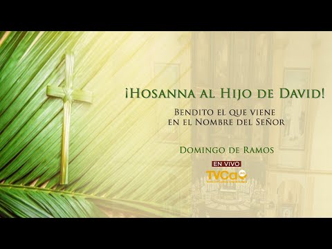 Santa Misa de Domingo de Ramos