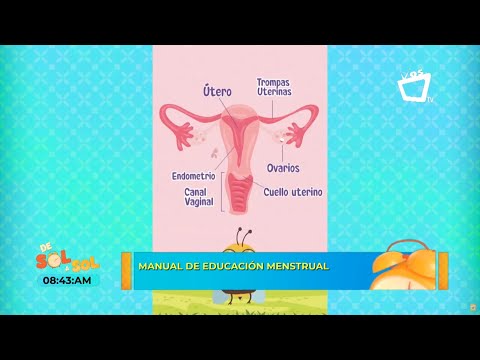 Conocé este manual de educación menstrual