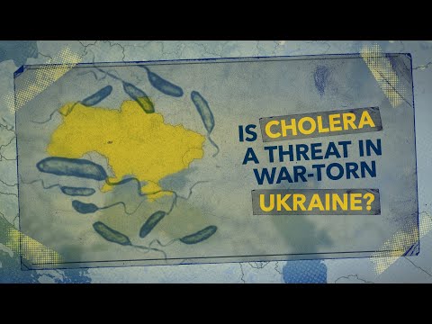 🔵Fears of Cholera Outbreak Surface in Ukraine