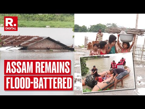Assam Floods Devastate Wildlife; More Heavy Rains Expected Until July 5, Says IMD