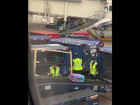 Con total descuido: Así manipulan los maletas de un vuelo de American Airlines en Miami