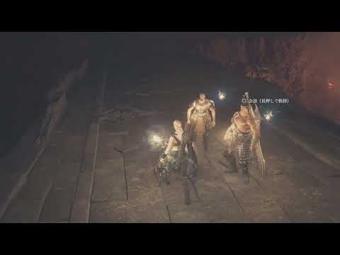 Dragon's Dogma 2_5 T-800 TERMINATOR Support pawn Morganna