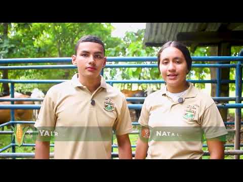 agricultura_Temporada 2024_PROG#23