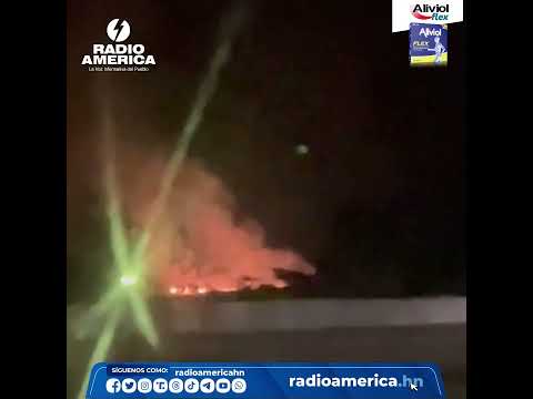 Incendio forestal en sector Amarateca 3/mar/2024