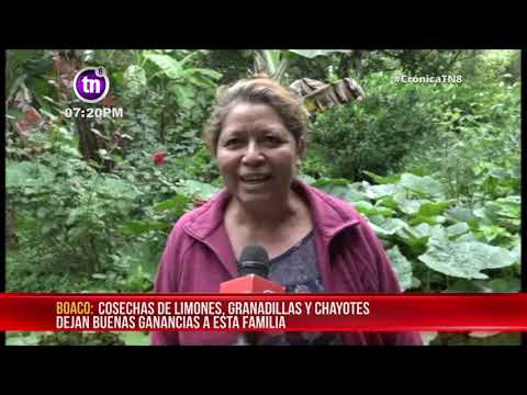 Patio Saludable en comunidad de Boaco con gran variedad de plantas – Nicaragua