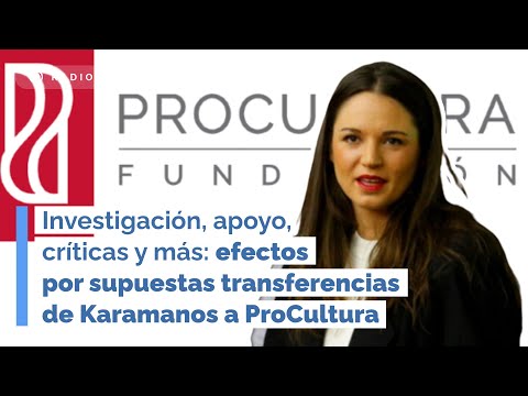 Los efectos por supuestas transferencias de Karamanos a ProCultura