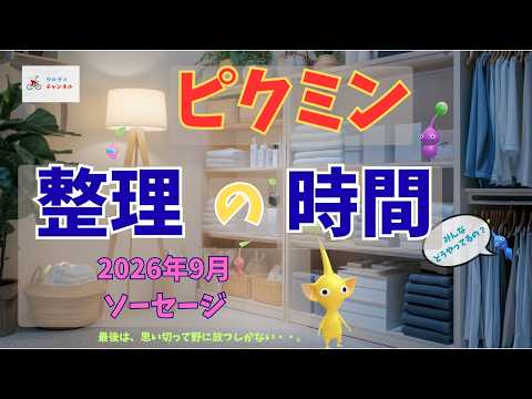 ピクミン整理の時間［2026年9月］｜#ピクミンブルーム｜#pikminbloom｜