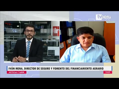 Noticias Tarde | Iván Mena, director de Fomento del Financiamiento Agrario del Midagri - 08/02/2023