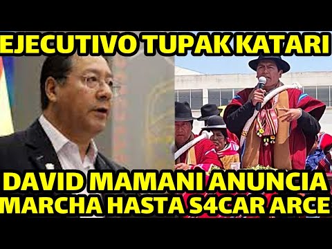 TUPAK KATARI DE LA PAZ PIDEN REDUCIR NUMEROS SENADORES Y DIPUTADOS Y REDUCIR SUELDOS Y FUNCIONARIOS