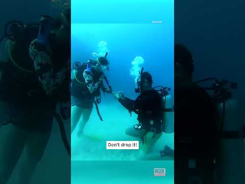 Scuba Diver Pops the Question Underwater #shorts