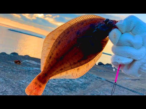 【カレイ釣り】バケツと引き換えに...一投で世界が変わった瞬間