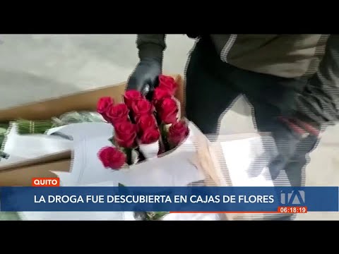 Más de 8 kilos de clorhidrato de cocaína fueron incautados en Quito