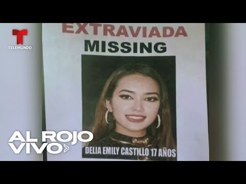 Aseguran que la reina de belleza Emily Castillo fue secuestrada en EE.UU.