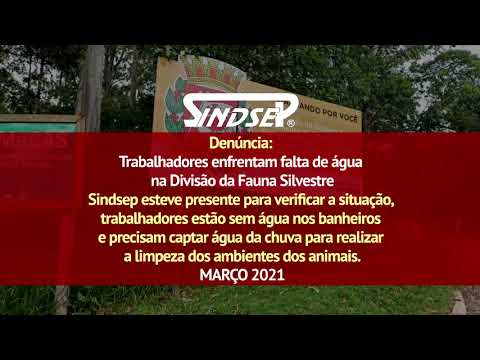 Denúncia: Trabalhadores enfrentam falta de água na Divisão da Fauna Silvestre