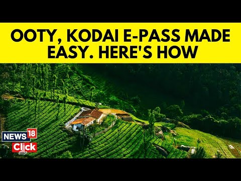 Traveling To Kodaikanal Or Ooty? Here's How To Get Your E-Pass This Summer | Ooty E-Pass Guide N18V