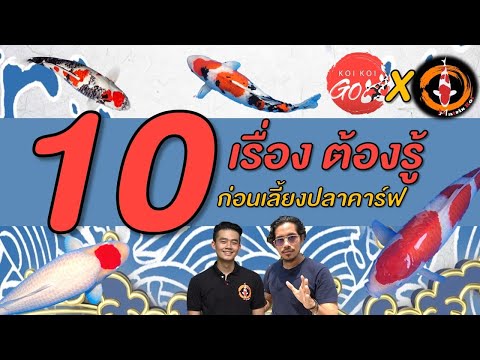 10เรื่องต้องรู้ก่อนเลี้ยงปลาค