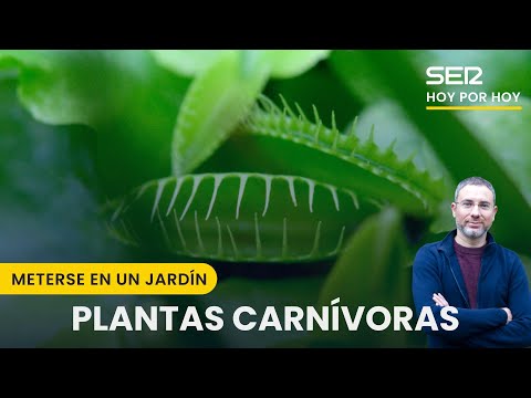 Plantas carnívoras y cubremacetas | Meterse en un jardín, con Eduardo Barba